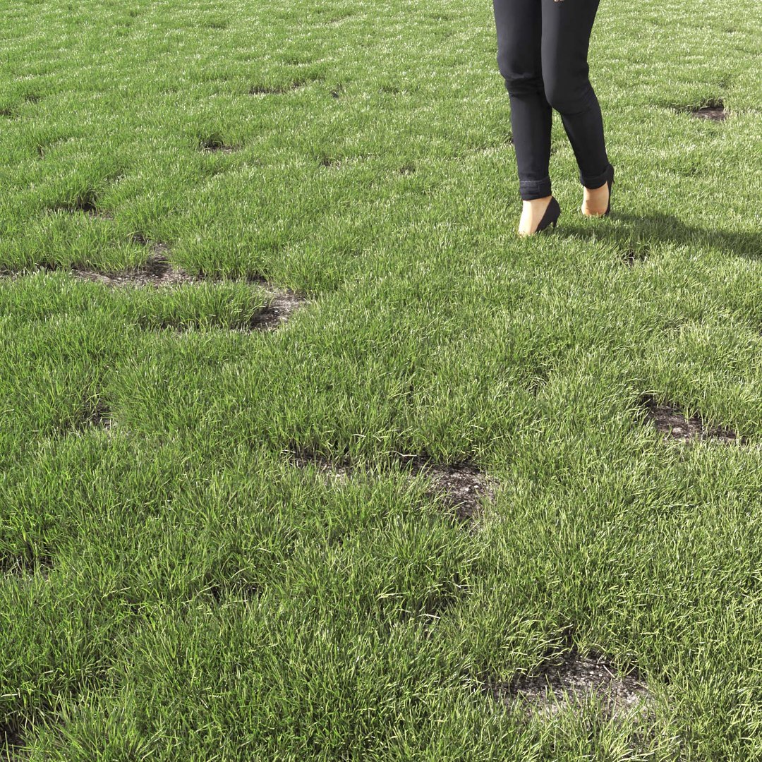 Real Grass 3D https://p.turbosquid.com/ts-thumb/OZ/wuh43I/Pl/vppoapratensisv14field/jpg/1695472779/1920x1080/fit_q87/9d87031f5d4ea34a1b5e9bf4d7c76ed1c56ff93b/vppoapratensisv14field.jpg