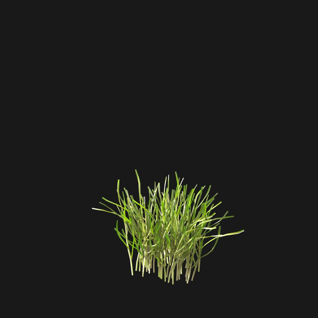 Real Grass 3D https://p.turbosquid.com/ts-thumb/OZ/wuh43I/Qg/vppoapratensisv13/jpg/1695472777/1920x1080/fit_q87/6913e34d9c299e8ccb5cfbca43a250d186a1ad01/vppoapratensisv13.jpg