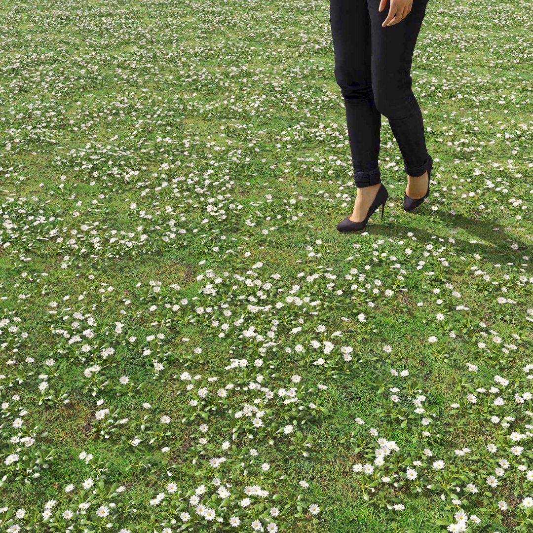 Real Grass 3D https://p.turbosquid.com/ts-thumb/OZ/wuh43I/R0/vpbellisperennisv7field/jpg/1695472697/1920x1080/fit_q87/f29639dcbf0c8f68e91945b206e9aa0e0dcc8652/vpbellisperennisv7field.jpg