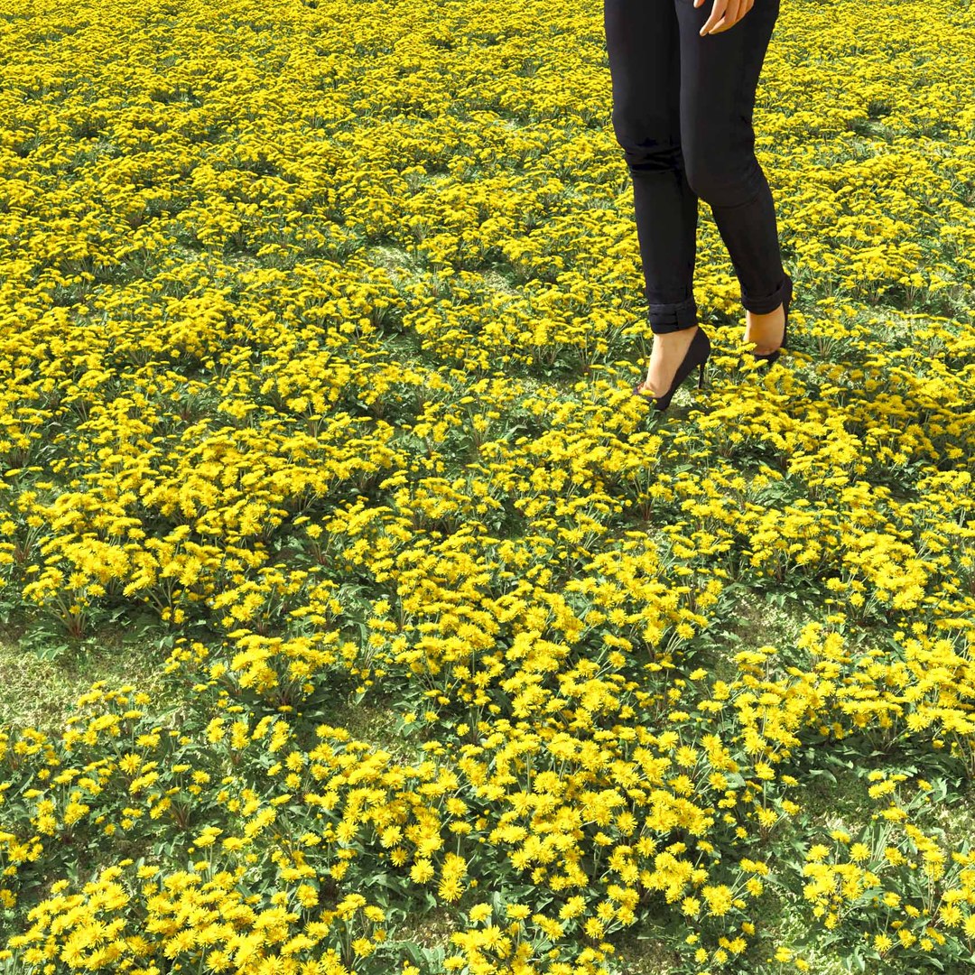 Real Grass 3D https://p.turbosquid.com/ts-thumb/OZ/wuh43I/RA/vpdandelionv2field/jpg/1695472716/1920x1080/fit_q87/c934c5e4324c19ba4845a9082d89ad0df8b39f01/vpdandelionv2field.jpg