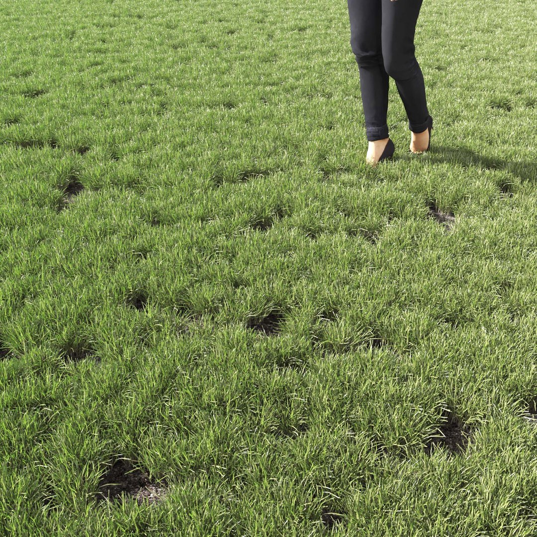 Real Grass 3D https://p.turbosquid.com/ts-thumb/OZ/wuh43I/RG/vppoapratensisv13field/jpg/1695472778/1920x1080/fit_q87/8396ca95de463f28f622b59ba34ad0b838788ff2/vppoapratensisv13field.jpg