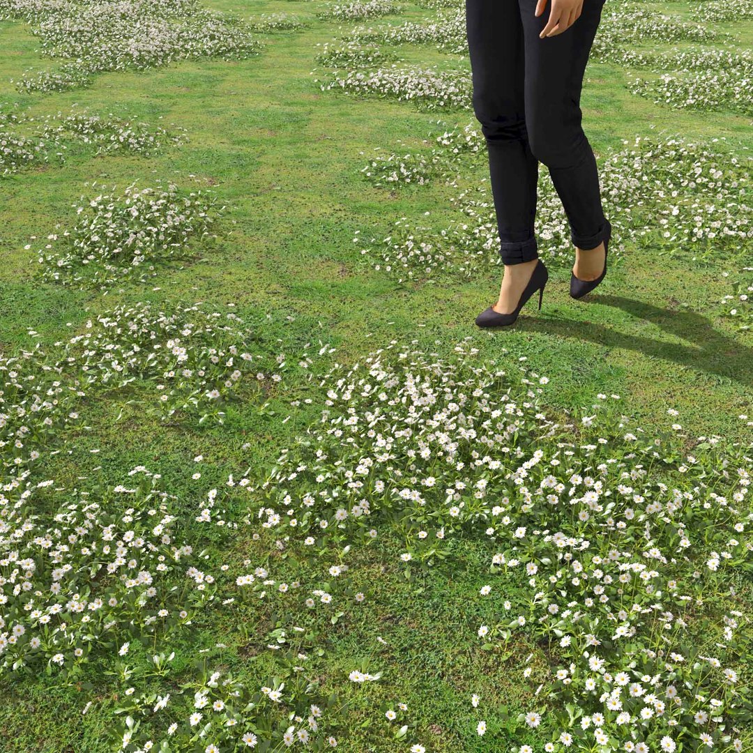 Real Grass 3D https://p.turbosquid.com/ts-thumb/OZ/wuh43I/RT/vpbellisperennisv3field/jpg/1695472693/1920x1080/fit_q87/f6385dce135e81e6983555bc1932ade2b75a05dd/vpbellisperennisv3field.jpg