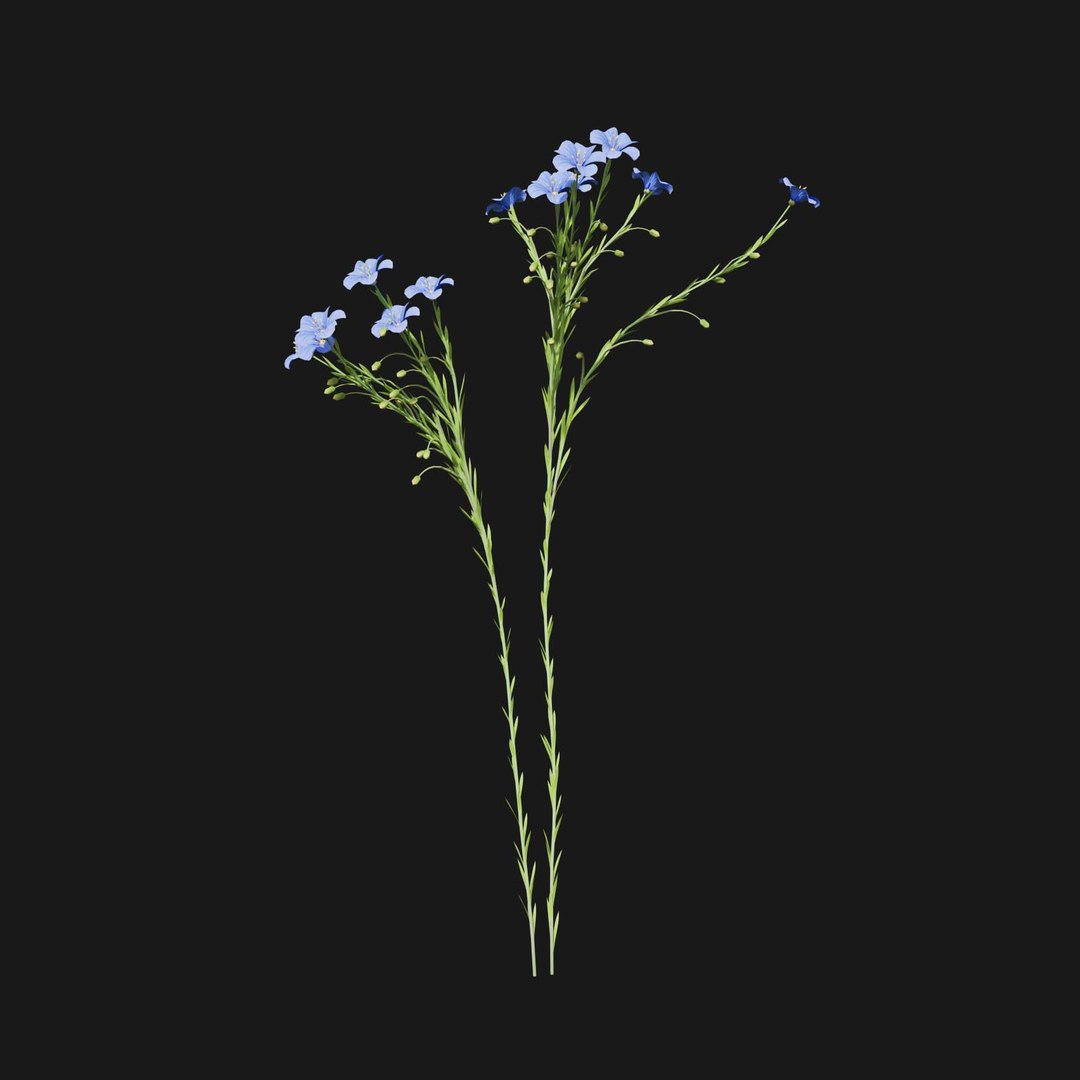 Real Grass 3D https://p.turbosquid.com/ts-thumb/OZ/wuh43I/Rx/vplinumlewisiiv3/jpg/1695472753/1920x1080/fit_q87/141c61181fdf2c3b6a1767b529b22c5b859bbb18/vplinumlewisiiv3.jpg