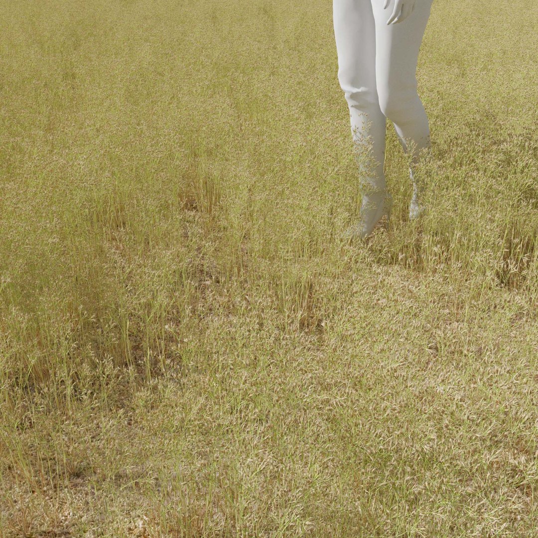 Real Grass 3D https://p.turbosquid.com/ts-thumb/OZ/wuh43I/ST/vpairacaryophv5field/jpg/1695472679/1920x1080/fit_q87/67139d6541a8ebe1503046a36273197ef2389c2e/vpairacaryophv5field.jpg