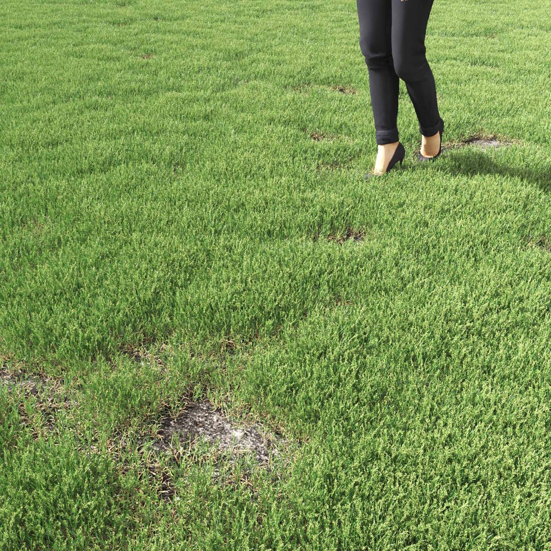 Real Grass 3D https://p.turbosquid.com/ts-thumb/OZ/wuh43I/Sw/vppoapratensisv15field/jpg/1695472780/1920x1080/fit_q87/224e8ac026dd126b9954918bd8fd520b9d5a22d3/vppoapratensisv15field.jpg