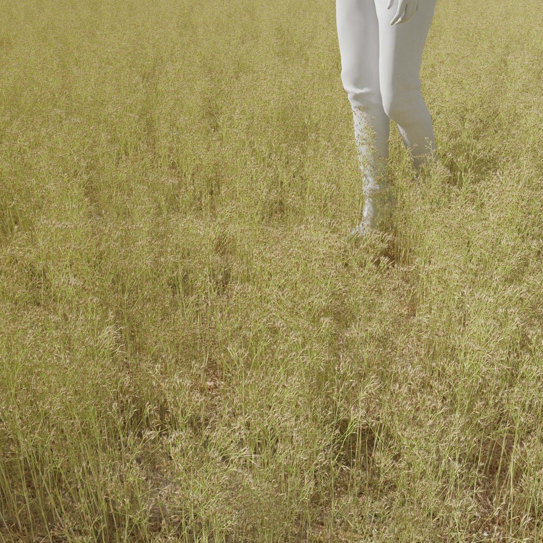 Real Grass 3D https://p.turbosquid.com/ts-thumb/OZ/wuh43I/Tr/vpairacaryophv4field/jpg/1695472680/1920x1080/fit_q87/4a76e653f59c906384694bf4c14fe421a9458ffd/vpairacaryophv4field.jpg