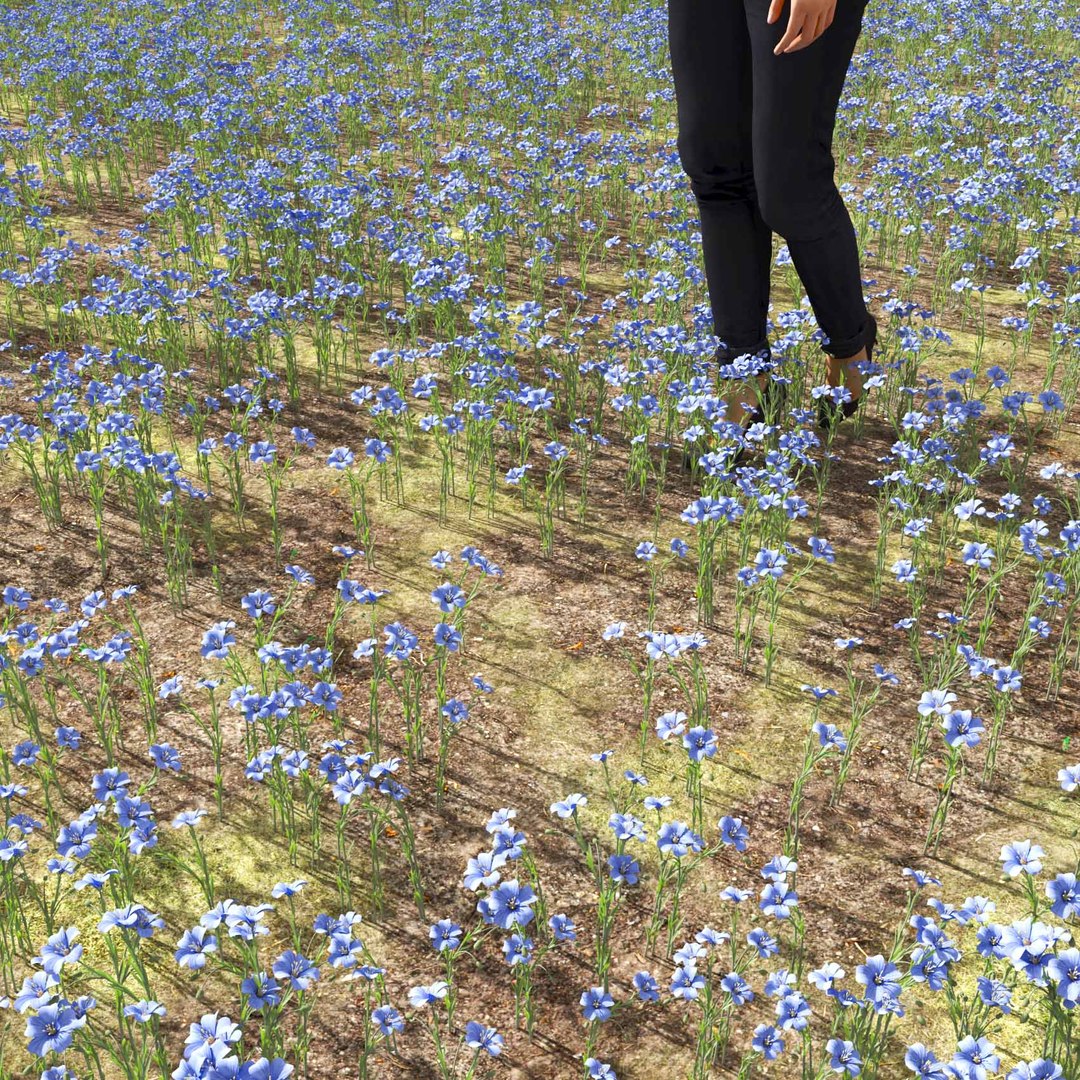 Real Grass 3D https://p.turbosquid.com/ts-thumb/OZ/wuh43I/Tt/vplinumlewisiiv4field/jpg/1695472754/1920x1080/fit_q87/1dcc1ceeaea81eba6fcc6d125b4bcd48e901d3d0/vplinumlewisiiv4field.jpg