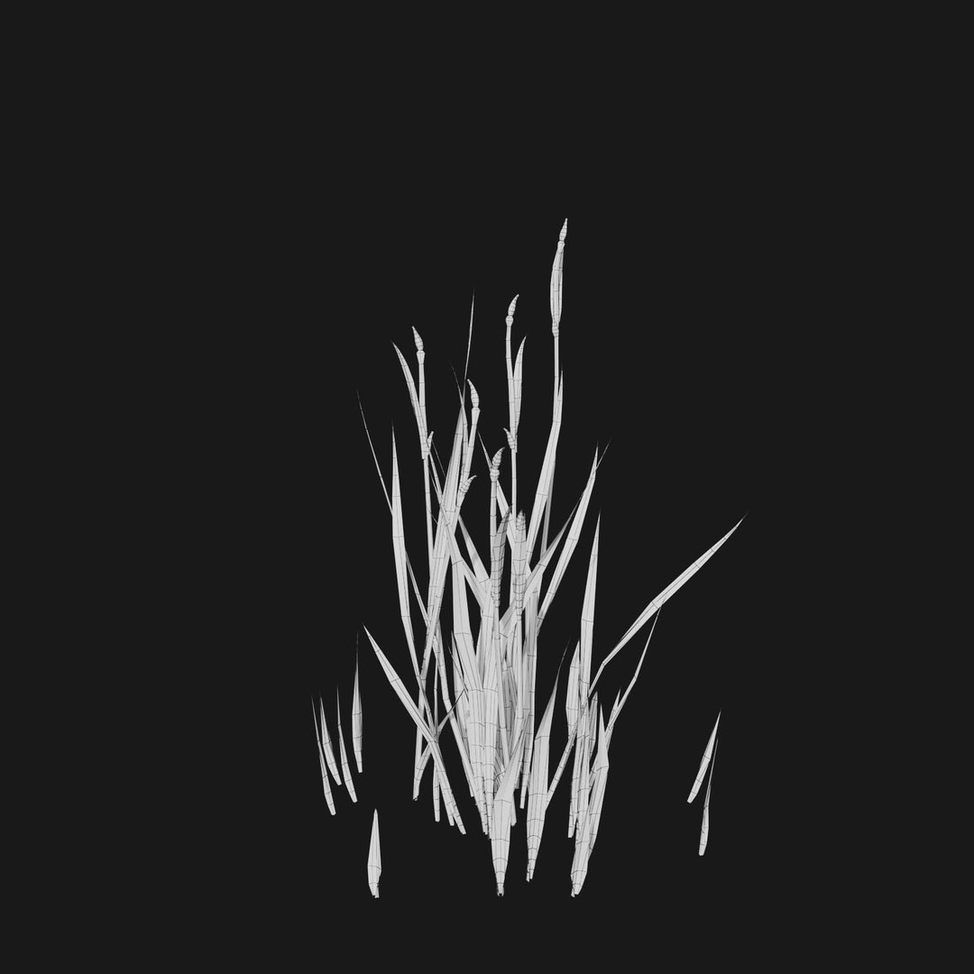 Real Grass 3D https://p.turbosquid.com/ts-thumb/OZ/wuh43I/U6/vpjuncusensifoliusv3wiire/jpg/1695472741/1920x1080/fit_q87/74462377d27ca046988f5af3f21acea4f1d6b3c5/vpjuncusensifoliusv3wiire.jpg