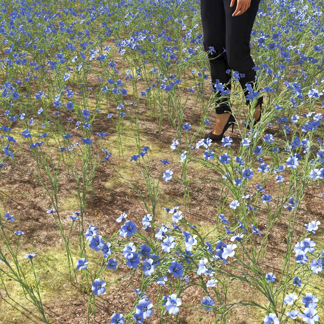 Real Grass 3D https://p.turbosquid.com/ts-thumb/OZ/wuh43I/UF/vplinumlewisiiv2field/jpg/1695472751/1920x1080/fit_q87/a14d16fb209513cfd98ac58e0773bd5fb2733efa/vplinumlewisiiv2field.jpg