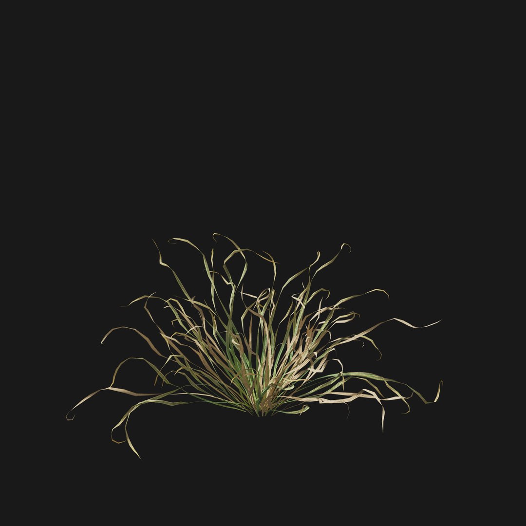Real Grass 3D https://p.turbosquid.com/ts-thumb/OZ/wuh43I/Ui/vphordeumv2/jpg/1695472734/1920x1080/fit_q87/2f30aebfa9c0642b4a296b4fb5d141470db1d43c/vphordeumv2.jpg
