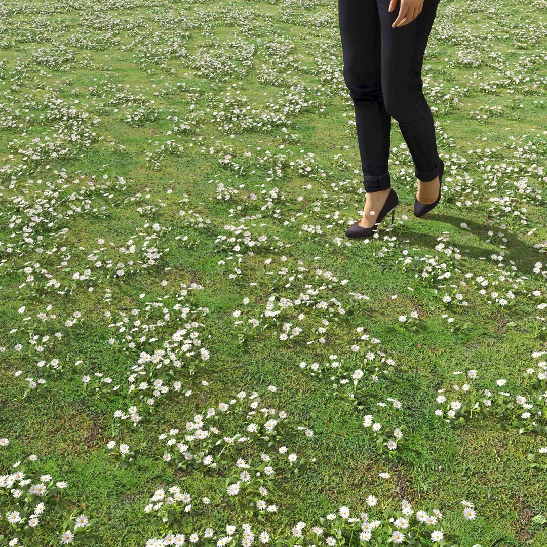Real Grass 3D https://p.turbosquid.com/ts-thumb/OZ/wuh43I/We/vpbellisperennisv6field/jpg/1695472696/1920x1080/fit_q87/d9a107f905895b80c9f7d9389ce75795072ed77b/vpbellisperennisv6field.jpg