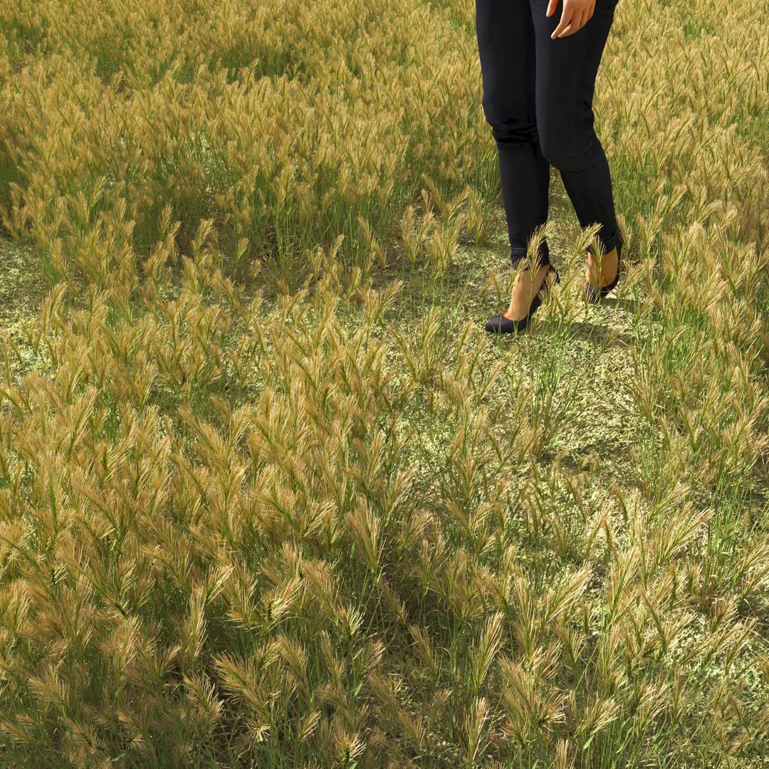 Real Grass 3D https://p.turbosquid.com/ts-thumb/OZ/wuh43I/X5/vphordeumv5field/jpg/1695472737/1920x1080/fit_q87/770f81a7aaecc69a57849e2f524ae8e821e97a79/vphordeumv5field.jpg