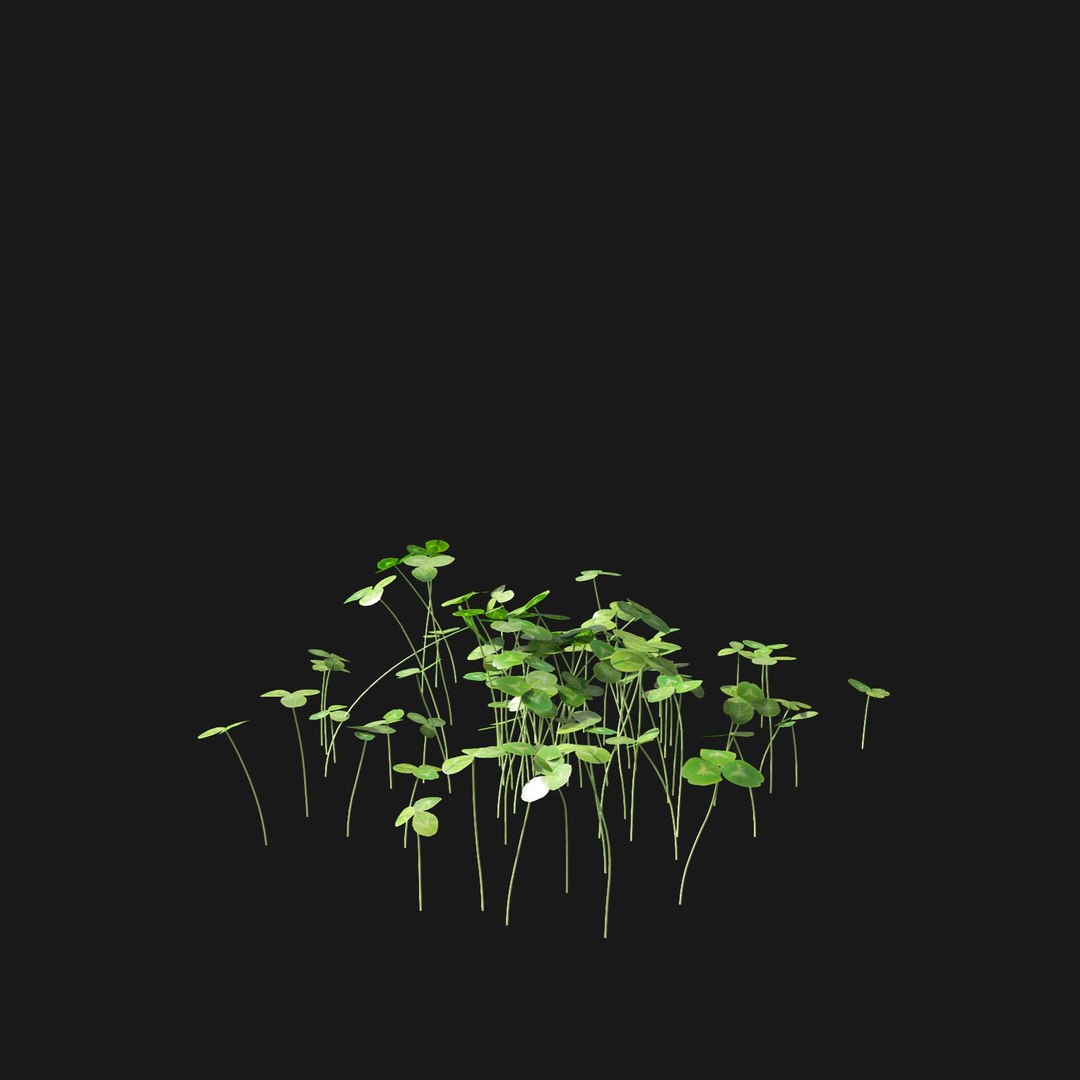Real Grass 3D https://p.turbosquid.com/ts-thumb/OZ/wuh43I/Xk/vptrifoliumv2/jpg/1695472790/1920x1080/fit_q87/24bb515c67127249465ba03547e7a5e08b4329bd/vptrifoliumv2.jpg