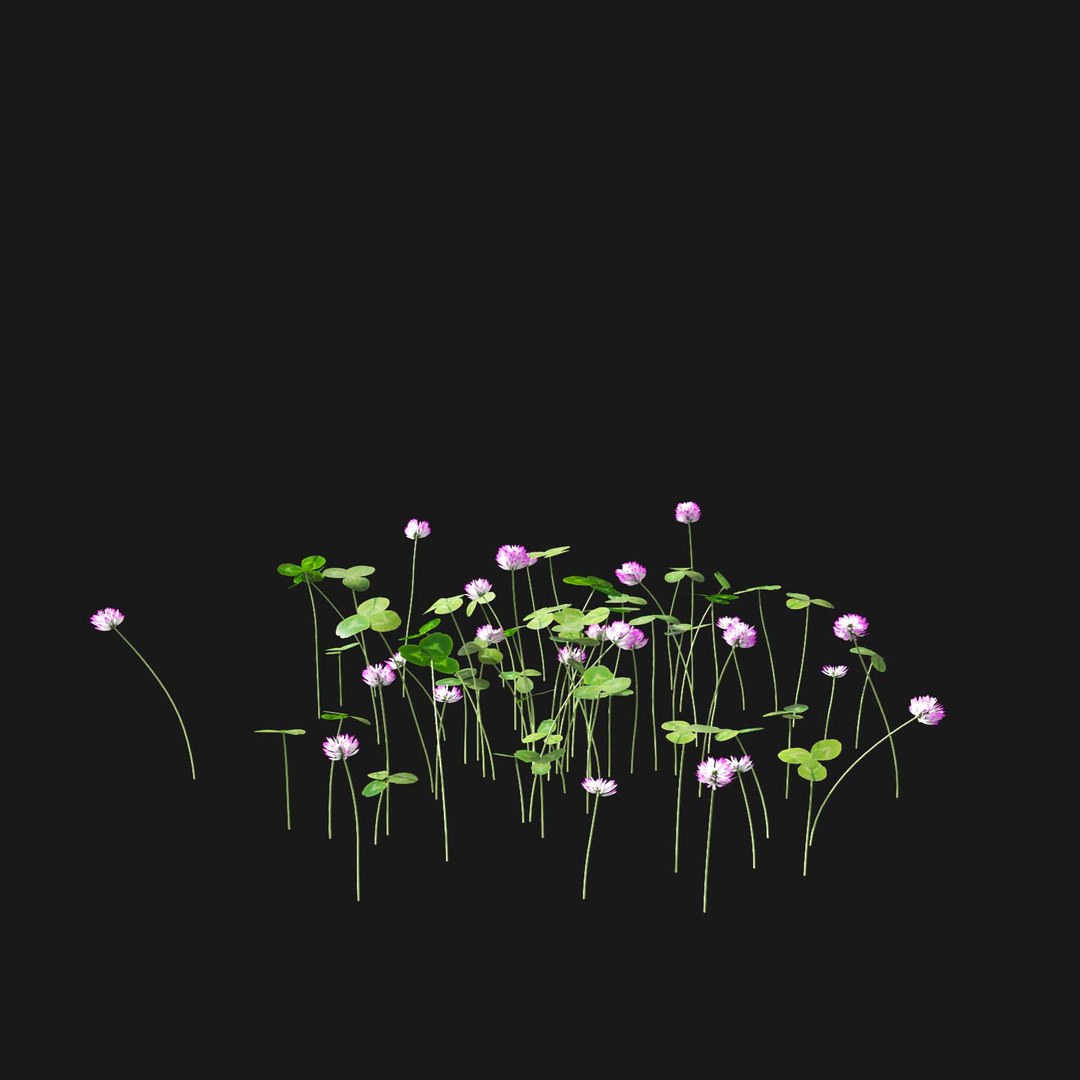 Real Grass 3D https://p.turbosquid.com/ts-thumb/OZ/wuh43I/Zp/vptrifoliumv1/jpg/1695472789/1920x1080/fit_q87/7d4bd091c9e20f23a7649b913a49dc0d7ee14945/vptrifoliumv1.jpg