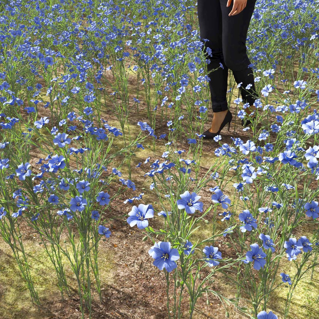 Real Grass 3D https://p.turbosquid.com/ts-thumb/OZ/wuh43I/f5/vplinumlewisiiv1field/jpg/1695472751/1920x1080/fit_q87/62129c6b853ee1142f95a57a5db17c6ef40399ee/vplinumlewisiiv1field.jpg