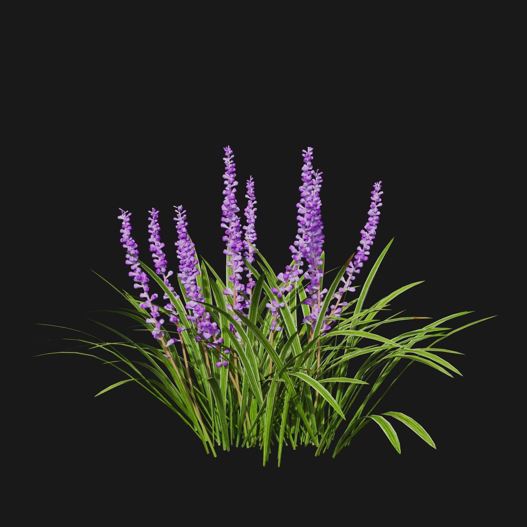 Real Grass 3D https://p.turbosquid.com/ts-thumb/OZ/wuh43I/gk/vpliriopemuscariv5/jpg/1695472762/1920x1080/fit_q87/6c2b0b17151818c5975e27ba02104e1703cf379f/vpliriopemuscariv5.jpg