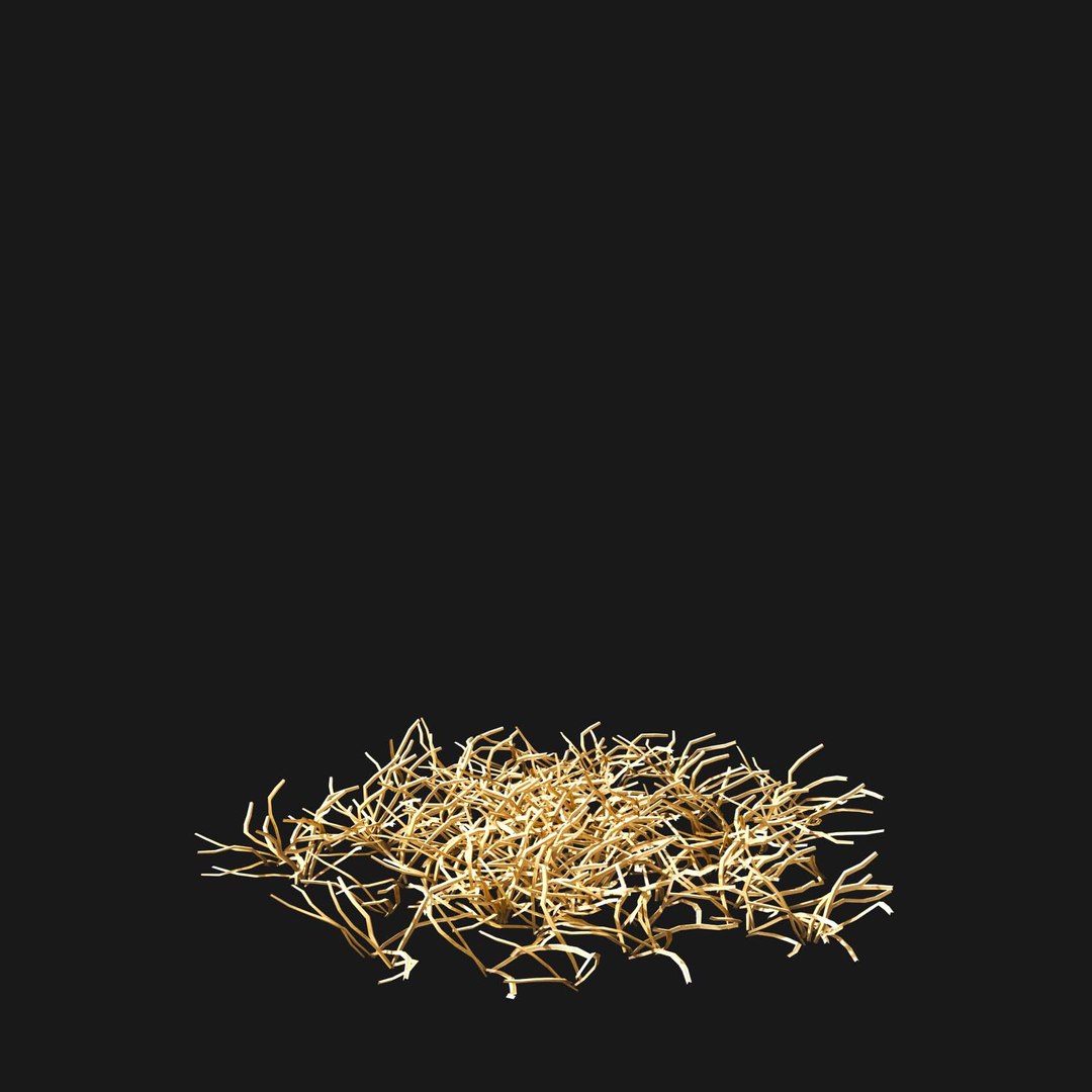Real Grass 3D https://p.turbosquid.com/ts-thumb/OZ/wuh43I/h1/vppoapratensisv23/jpg/1695472786/1920x1080/fit_q87/144fdc9ab93beb0f6130106b6d7869624295605b/vppoapratensisv23.jpg