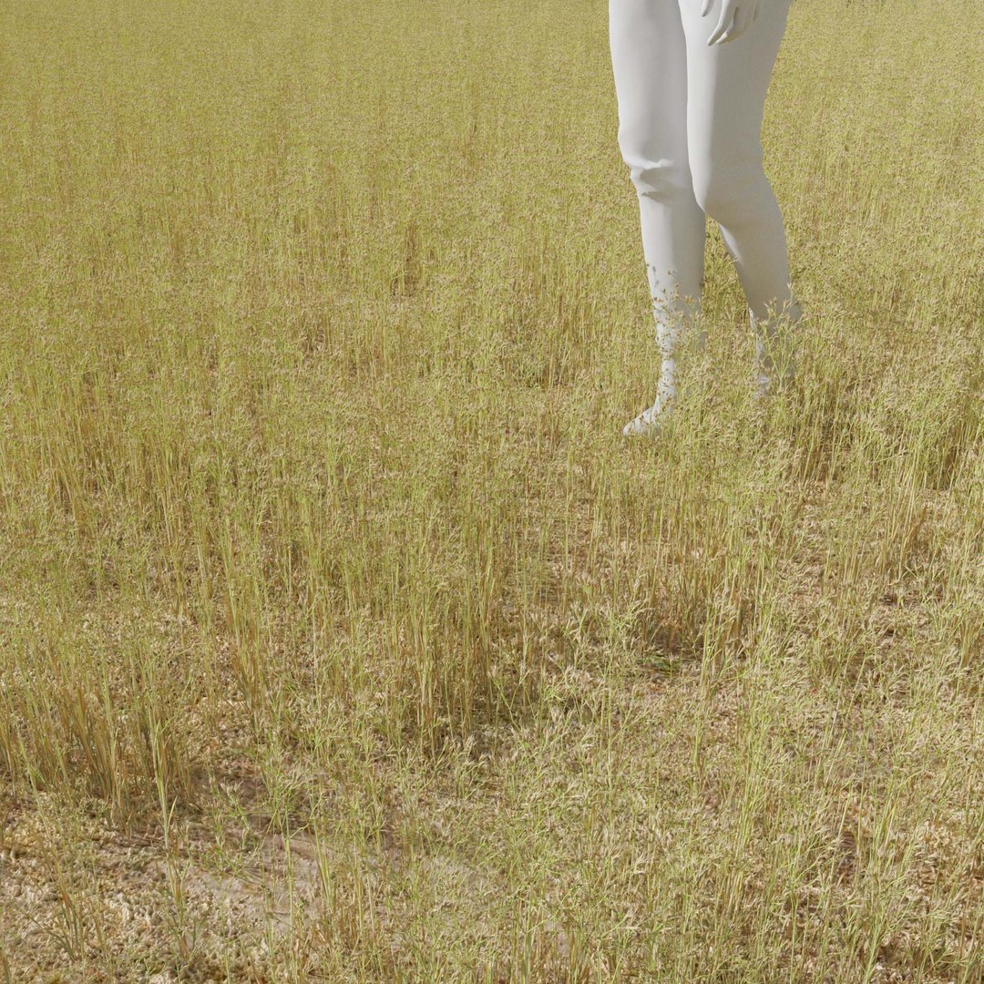 Real Grass 3D https://p.turbosquid.com/ts-thumb/OZ/wuh43I/hk/vpairacaryophv3field/jpg/1695472678/1920x1080/fit_q87/ff6c4b121c90973e46f05b5a777a1d0c593f934b/vpairacaryophv3field.jpg
