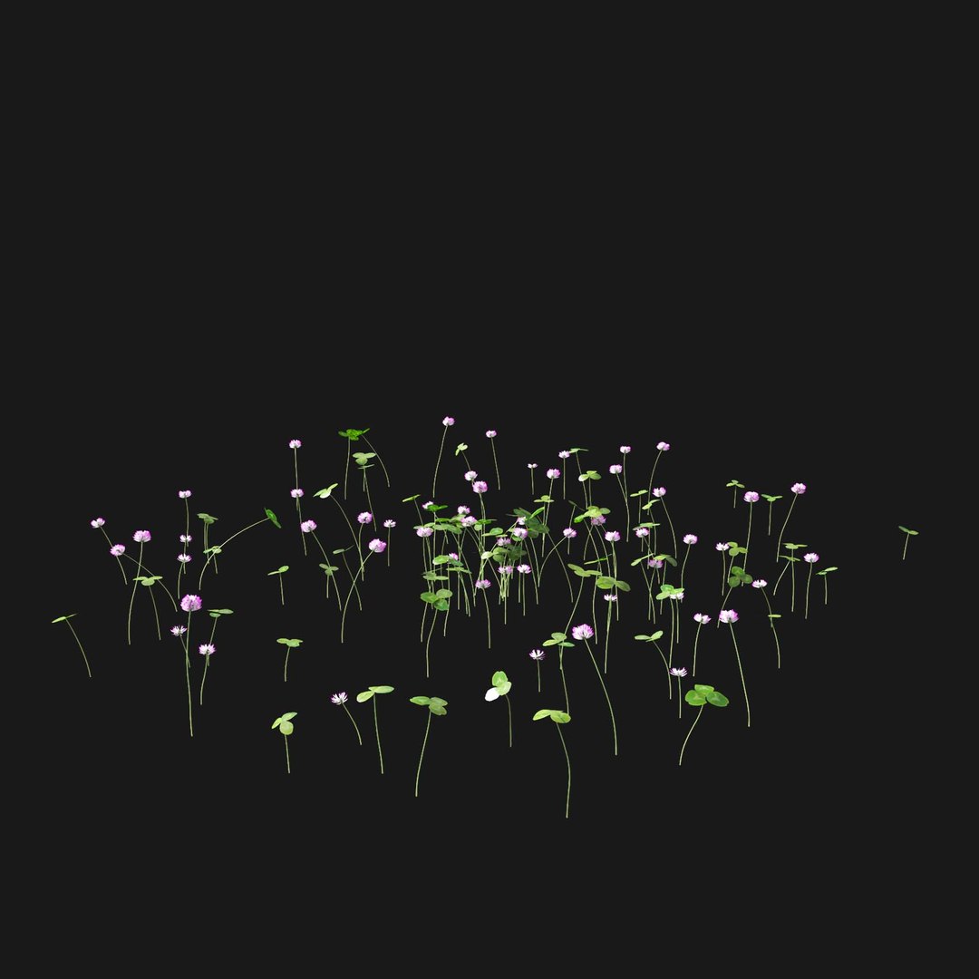 Real Grass 3D https://p.turbosquid.com/ts-thumb/OZ/wuh43I/iZ/vptrifoliumv9/jpg/1695472797/1920x1080/fit_q87/9760a1b50657a8aa8584fc7141428f09c1b0bde9/vptrifoliumv9.jpg