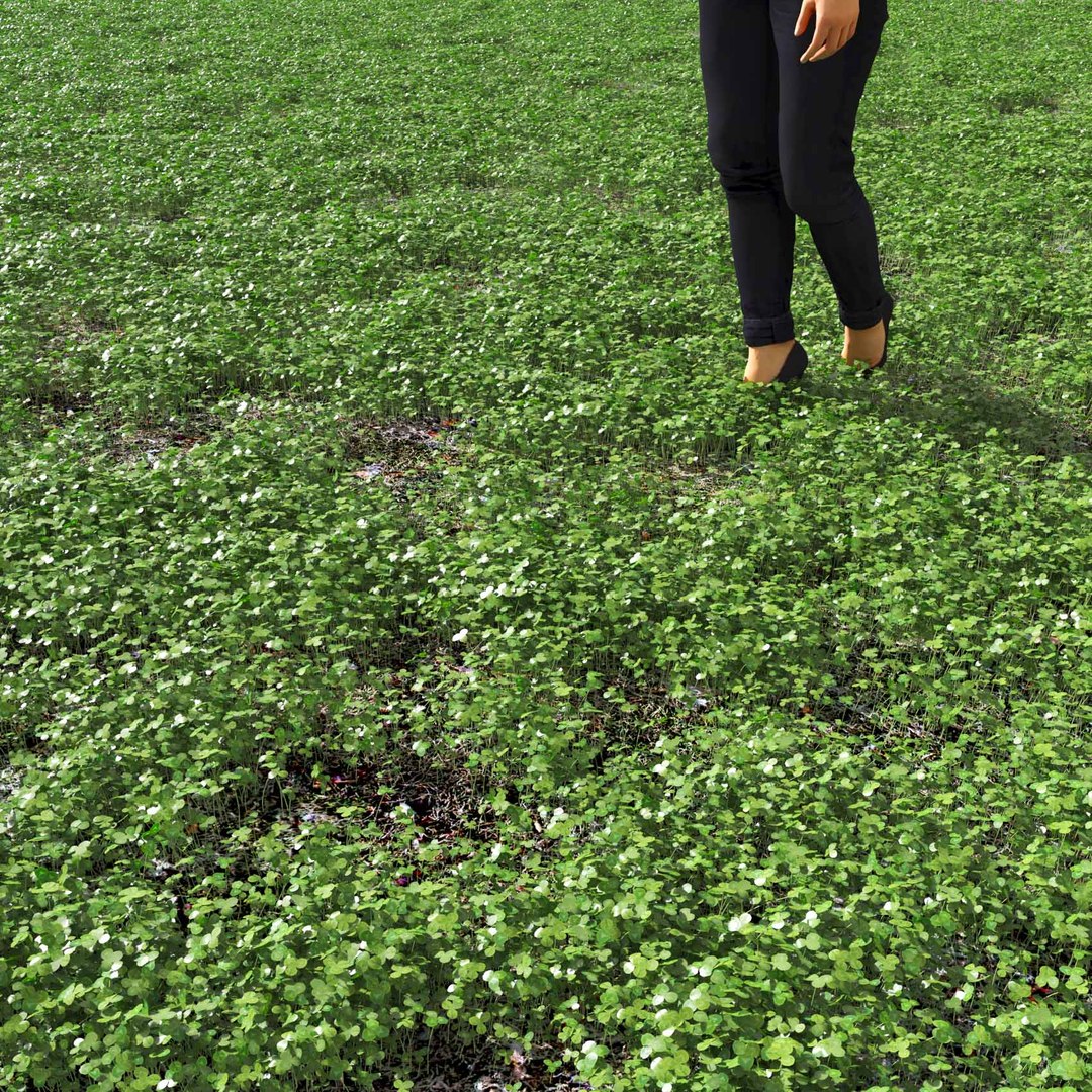 Real Grass 3D https://p.turbosquid.com/ts-thumb/OZ/wuh43I/jU/vptrifoliumv2field/jpg/1695472790/1920x1080/fit_q87/d0ad3da326bbaee2805ea457a559879c5bf0d89c/vptrifoliumv2field.jpg