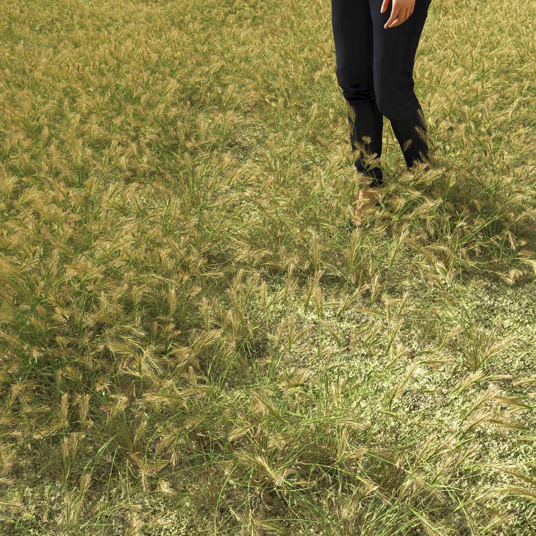 Real Grass 3D https://p.turbosquid.com/ts-thumb/OZ/wuh43I/kF/vphordeumv4field/jpg/1695472736/1920x1080/fit_q87/fd696a0bded9f2c02bad3b877f52243427185e23/vphordeumv4field.jpg