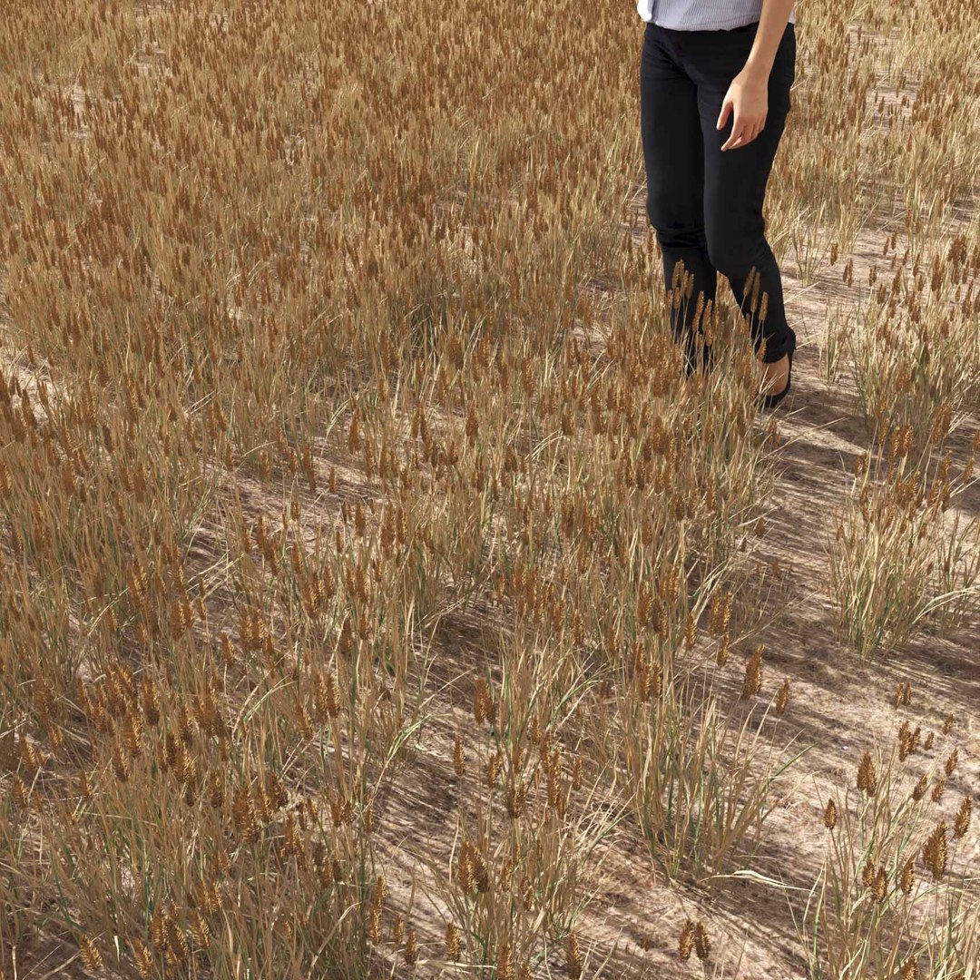 Real Grass 3D https://p.turbosquid.com/ts-thumb/OZ/wuh43I/kJ/vpphleumpratensev5field/jpg/1695472774/1920x1080/fit_q87/bc1ad0a860a3f59e213bb90de5183b7c4bcb46cd/vpphleumpratensev5field.jpg