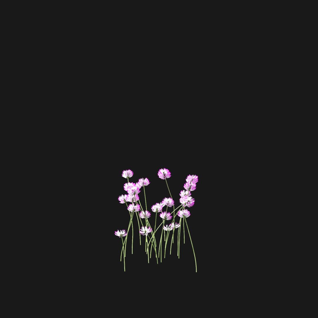 Real Grass 3D https://p.turbosquid.com/ts-thumb/OZ/wuh43I/la/vptrifoliumv8/jpg/1695472796/1920x1080/fit_q87/b5c668176fbf3e355e9a75b63f3c5493dcce29d3/vptrifoliumv8.jpg