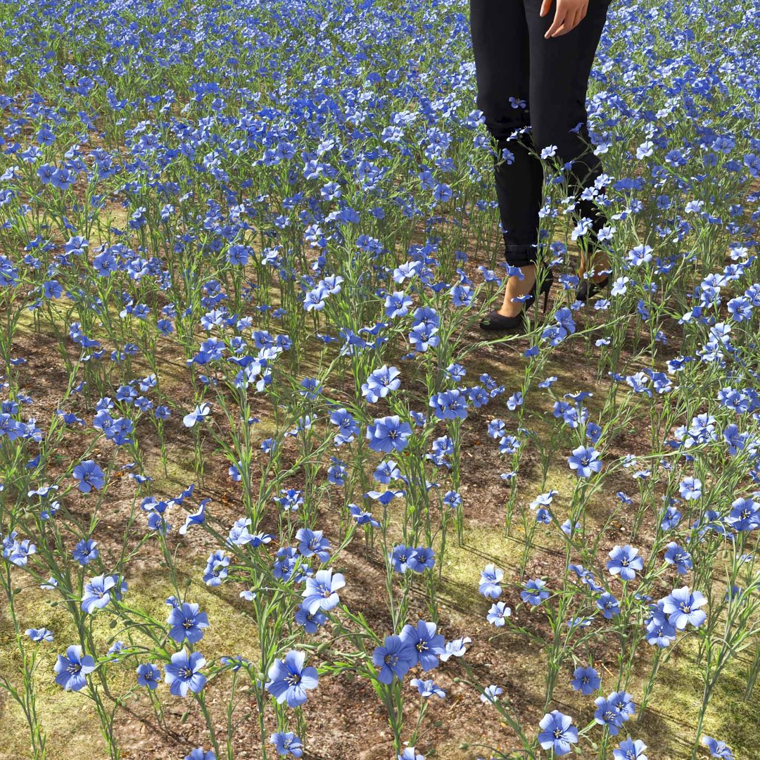 Real Grass 3D https://p.turbosquid.com/ts-thumb/OZ/wuh43I/mT/vplinumlewisiiv5field/jpg/1695472755/1920x1080/fit_q87/bceced5f1b3a720a9446f71bd1ddad5fcd9b035c/vplinumlewisiiv5field.jpg