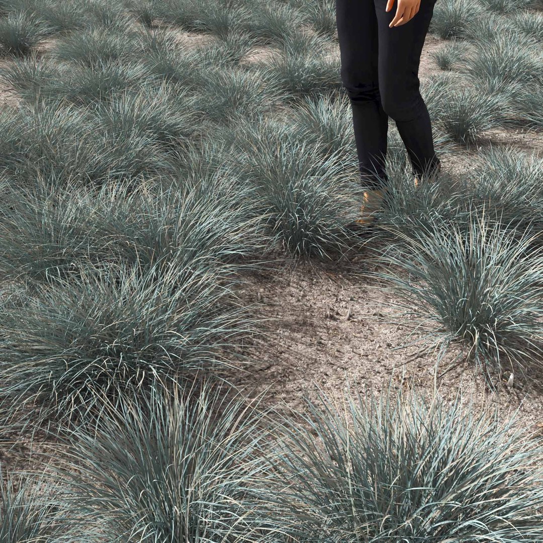 Real Grass 3D https://p.turbosquid.com/ts-thumb/OZ/wuh43I/mW/vphelictotrichonv2field/jpg/1695472730/1920x1080/fit_q87/0ef1fceaeabc7a2833eb124c1e0df55dedfbb5b0/vphelictotrichonv2field.jpg