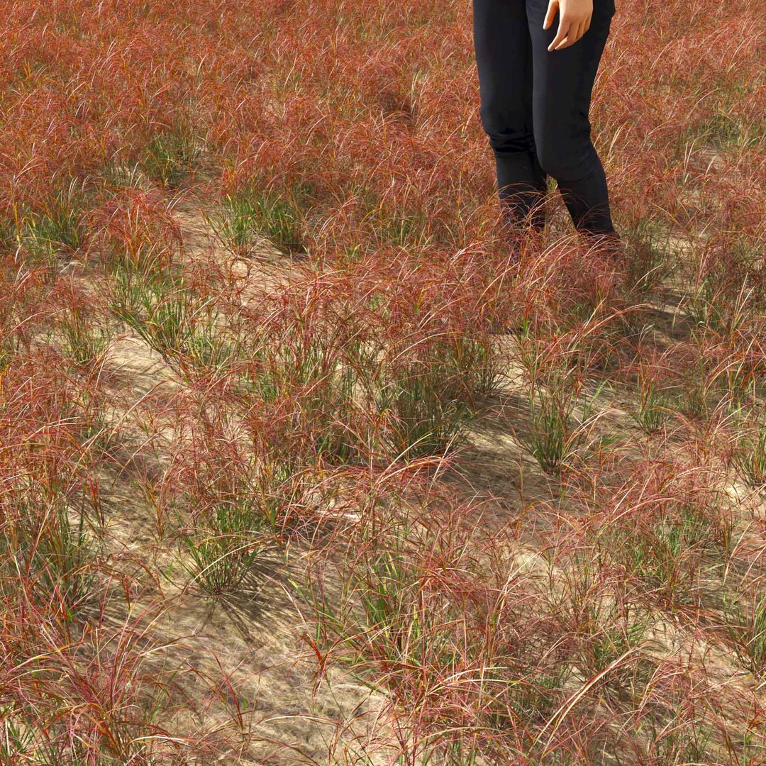 Real Grass 3D https://p.turbosquid.com/ts-thumb/OZ/wuh43I/oH/vparistidapurpureav2field/jpg/1695472687/1920x1080/fit_q87/aef16057b0bf09880ea3832717cfde2fa4424b76/vparistidapurpureav2field.jpg