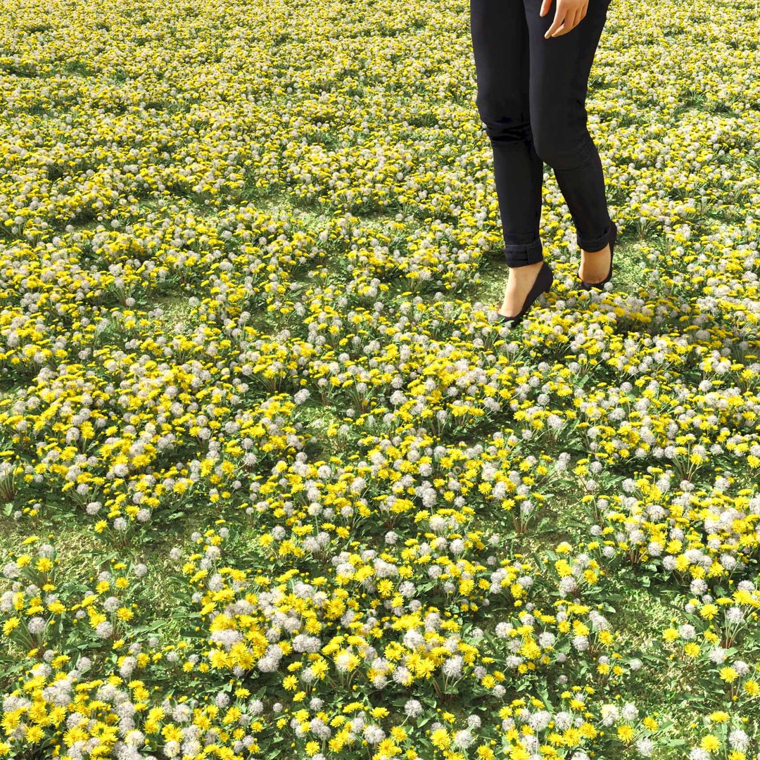 Real Grass 3D https://p.turbosquid.com/ts-thumb/OZ/wuh43I/oc/vpdandelionv5field/jpg/1695472719/1920x1080/fit_q87/3f539d07707f45f213574b5c5f8e297914c0e5e7/vpdandelionv5field.jpg