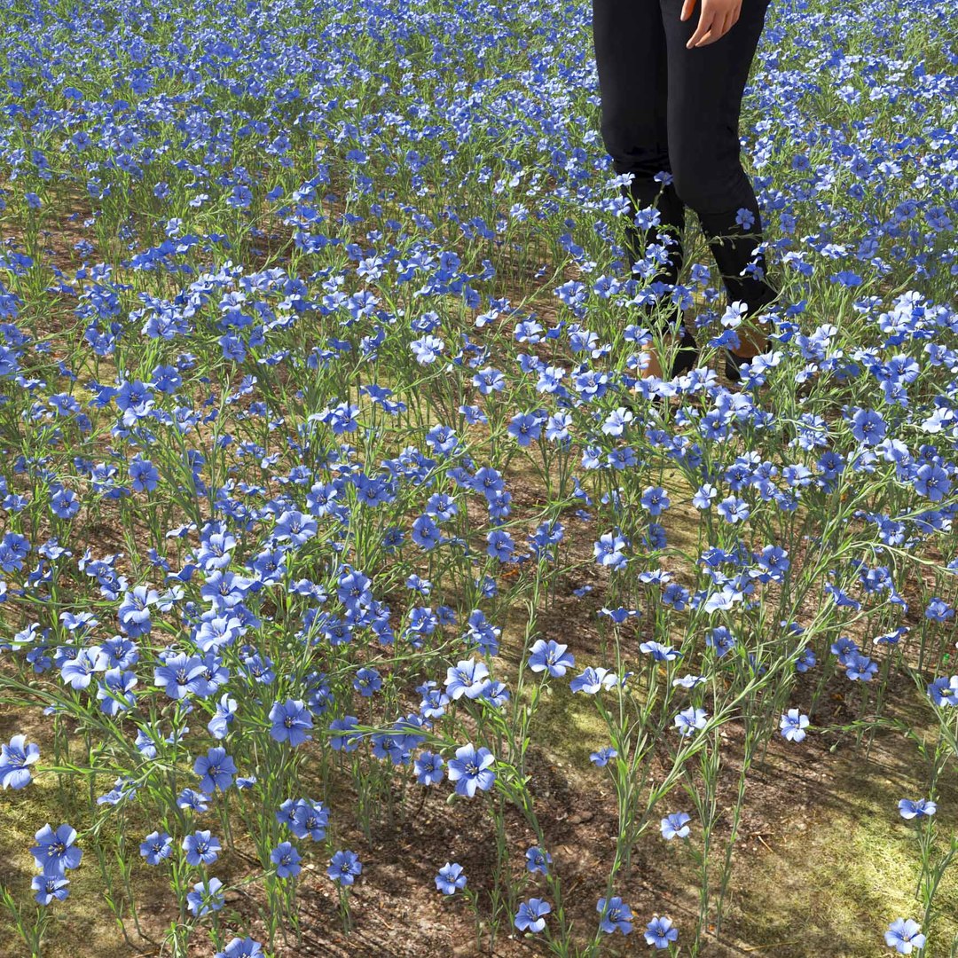Real Grass 3D https://p.turbosquid.com/ts-thumb/OZ/wuh43I/pp/vplinumlewisiiv7field/jpg/1695472757/1920x1080/fit_q87/7dad60b25b04105d06c7734396a8fcbcee79feec/vplinumlewisiiv7field.jpg