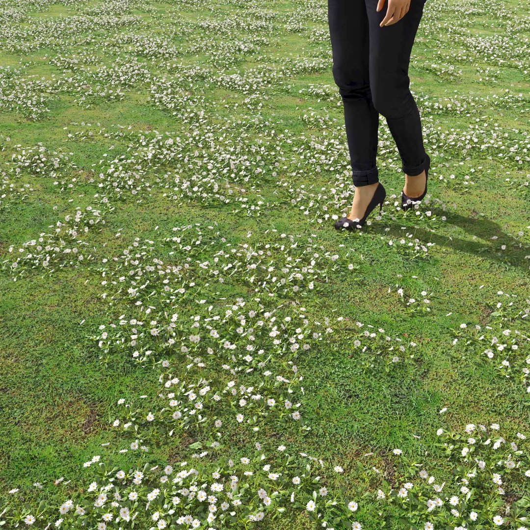 Real Grass 3D https://p.turbosquid.com/ts-thumb/OZ/wuh43I/sa/vpbellisperennisv2field/jpg/1695472692/1920x1080/fit_q87/680242f0249cb7edef35dbc2f670ff02ee88d97f/vpbellisperennisv2field.jpg