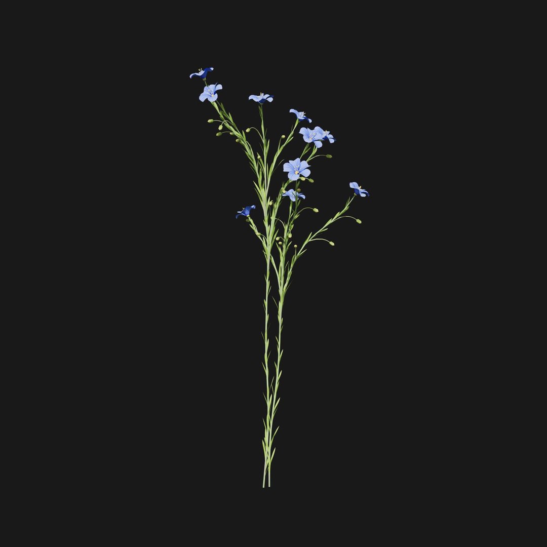 Real Grass 3D https://p.turbosquid.com/ts-thumb/OZ/wuh43I/tX/vplinumlewisiiv1/jpg/1695472751/1920x1080/fit_q87/631d7aa2c27b0a1a85c737399ca9e1b64b64e3fa/vplinumlewisiiv1.jpg