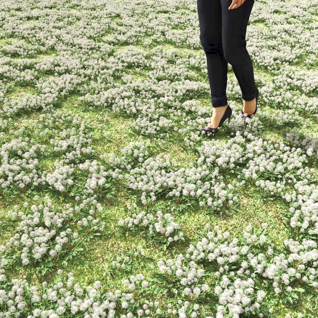 Real Grass 3D https://p.turbosquid.com/ts-thumb/OZ/wuh43I/tq/vpdandelionv3field/jpg/1695472717/1920x1080/fit_q87/05c331534f1ebc2674c5d1b50cb52fae6dcd89d6/vpdandelionv3field.jpg