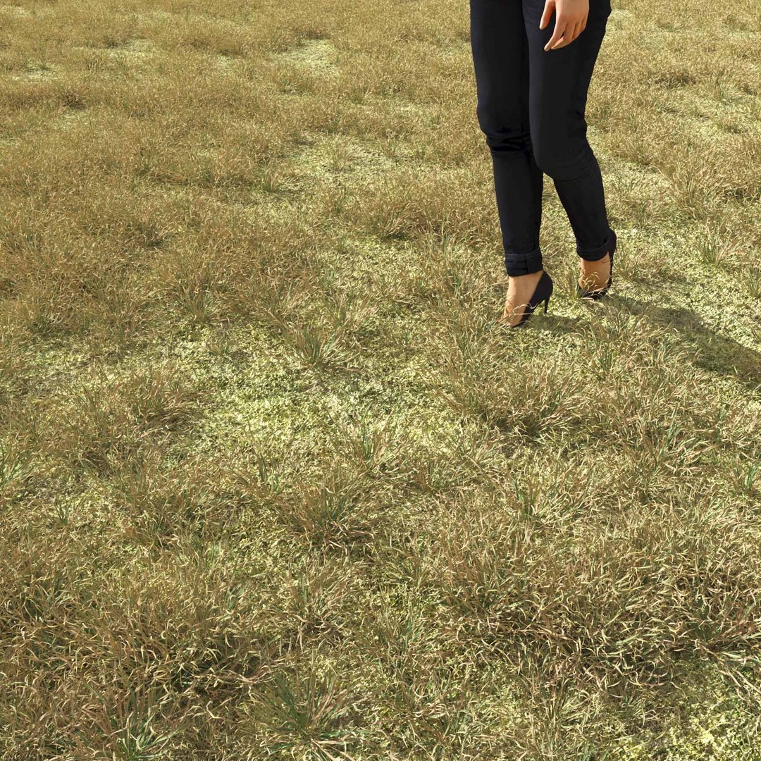 Real Grass 3D https://p.turbosquid.com/ts-thumb/OZ/wuh43I/u4/vphordeumv2field/jpg/1695472734/1920x1080/fit_q87/c5f55de83df56a83a73d8c973f71415d23bd8ee0/vphordeumv2field.jpg