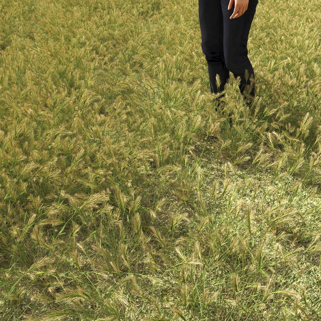 Real Grass 3D https://p.turbosquid.com/ts-thumb/OZ/wuh43I/ul/vphordeumv1field/jpg/1695472733/1920x1080/fit_q87/b0a752418ccf91f3e83b09d269eef140394f5aca/vphordeumv1field.jpg