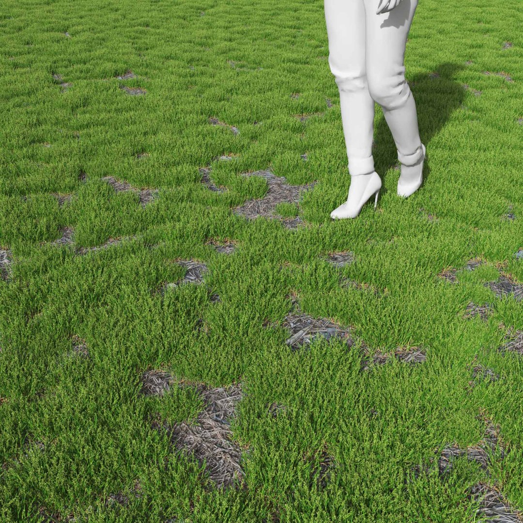 Real Grass 3D https://p.turbosquid.com/ts-thumb/OZ/wuh43I/yP/vppoapratensisv24field/jpg/1695472788/1920x1080/fit_q87/4736abafe2943db48e0a33dd539748b77e75a555/vppoapratensisv24field.jpg