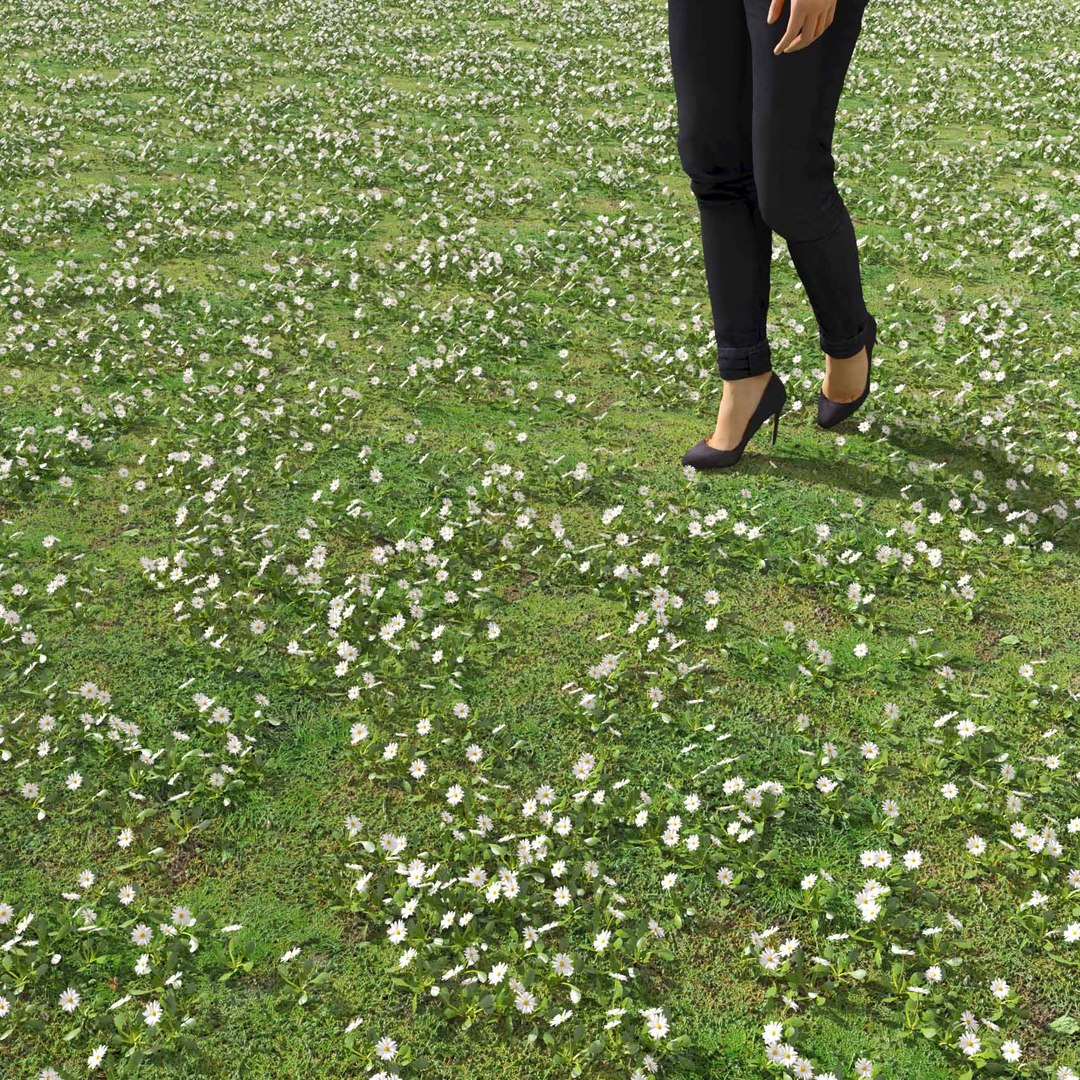 Real Grass 3D https://p.turbosquid.com/ts-thumb/OZ/wuh43I/zr/vpbellisperennisv8field/jpg/1695472698/1920x1080/fit_q87/88de5cca582e8bfbb9b96189c78c1ce99550100a/vpbellisperennisv8field.jpg
