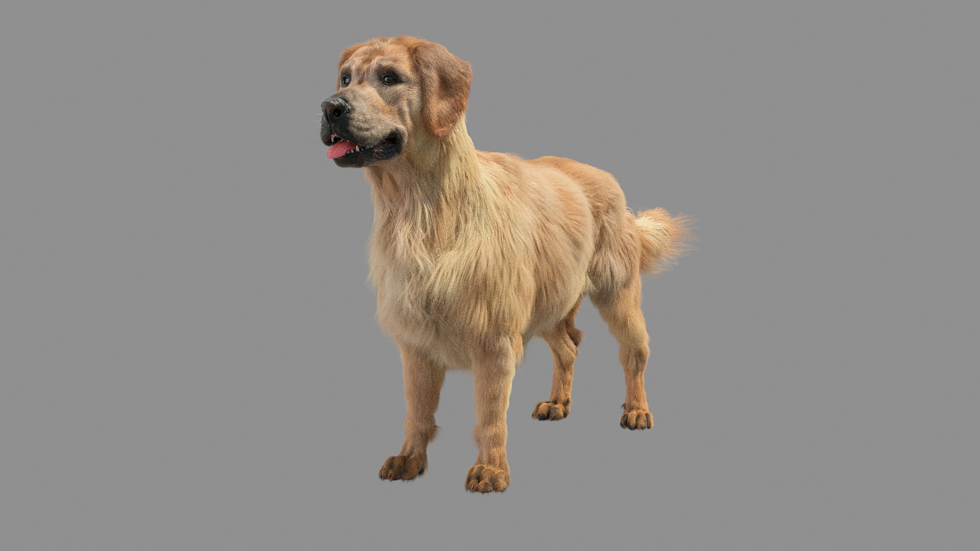 3D Golden Retriver Model - TurboSquid 1736325