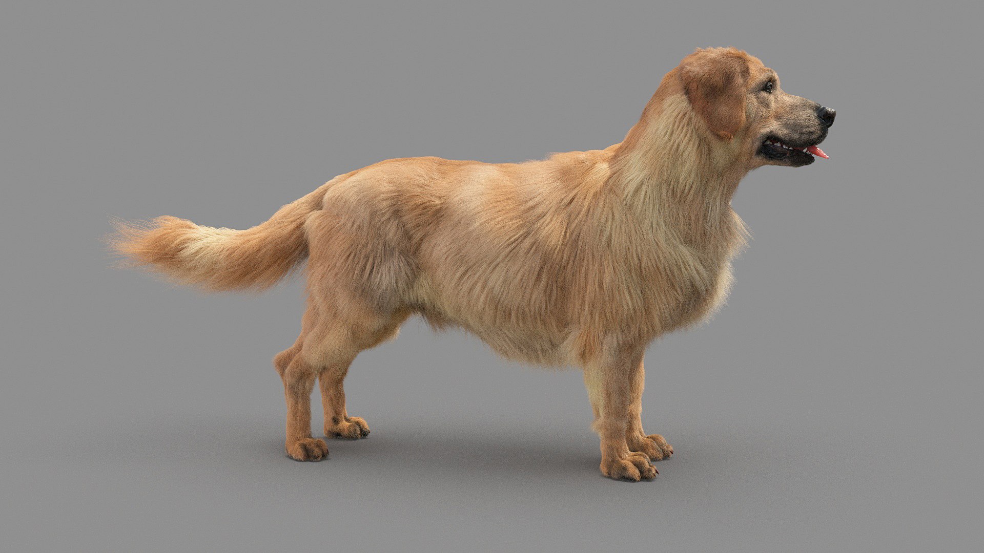 3D Golden Retriver Model - TurboSquid 1736325