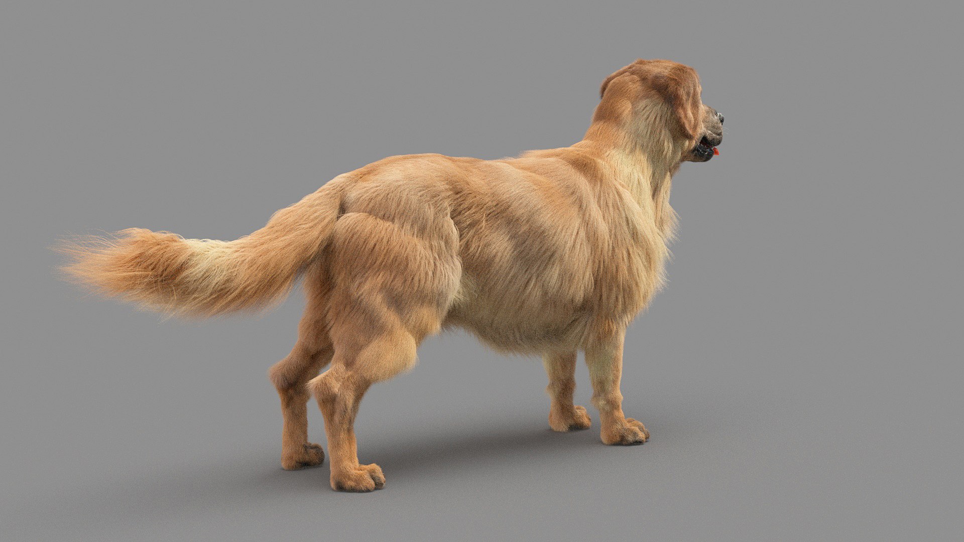 3D Golden Retriver Model - TurboSquid 1736325