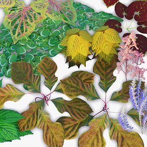 Fields of Color - Real Time Unique Plants 3D model