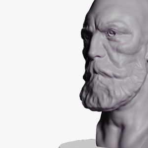 3D Male Head Sculpt model