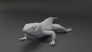Lizard Sculpt 3D model