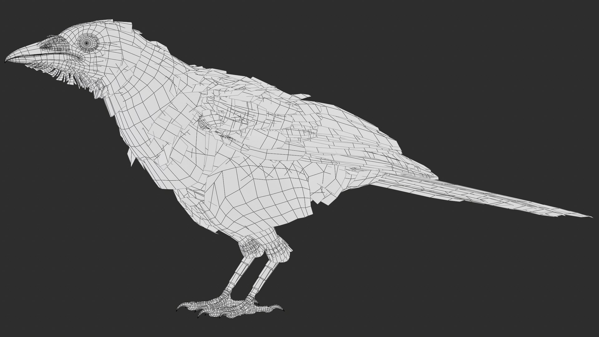 3D model Eurasian Magpie Posed 8K PBR https://p.turbosquid.com/ts-thumb/Oa/UdjSMl/4F/screenshot030/png/1762622834/1920x1080/fit_q87/35172a4f1758d53bcd67bb7f785e8f36eb53403f/screenshot030.jpg