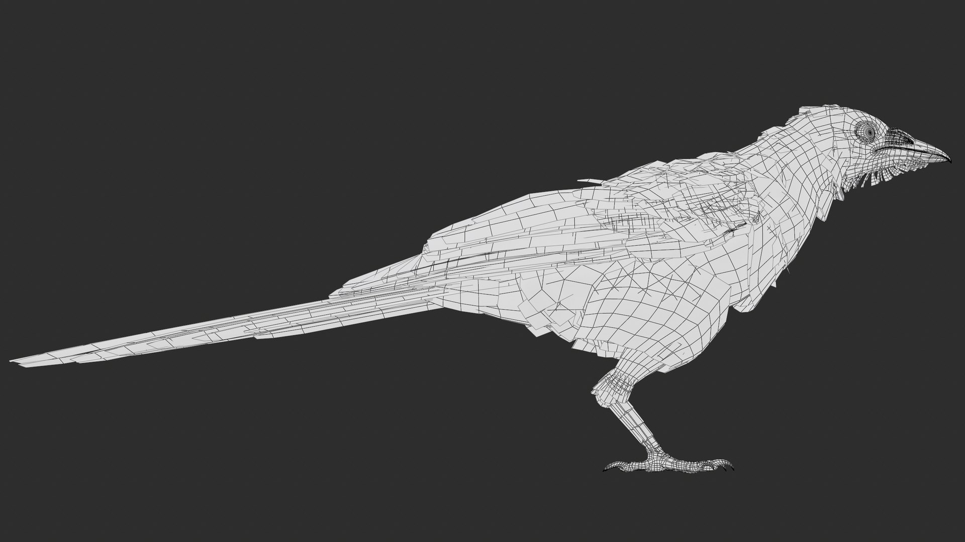 3D model Eurasian Magpie Posed 8K PBR https://p.turbosquid.com/ts-thumb/Oa/UdjSMl/7M/screenshot035/png/1762622837/1920x1080/fit_q87/7fb81c9abe5c3b28116c3f2689fc203112458b70/screenshot035.jpg