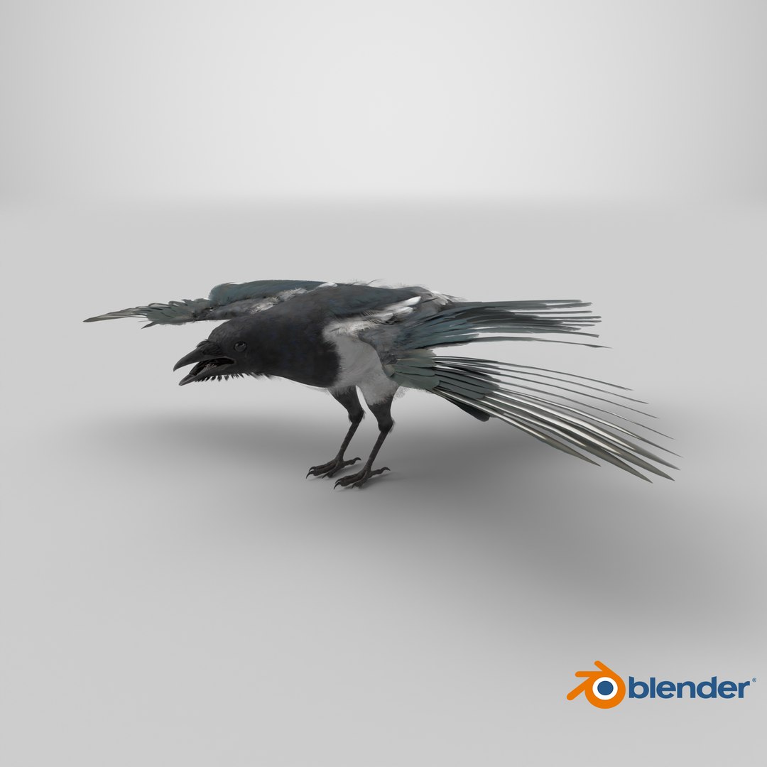 3D model Eurasian Magpie Posed 8K PBR https://p.turbosquid.com/ts-thumb/Oa/UdjSMl/Z7/stemcell_blender_cycles_render/png/1763493921/1920x1080/fit_q87/bf0ea862673cbdf4c94699841916deec460ecdef/stemcell_blender_cycles_render.jpg