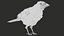 3D model Eurasian Magpie Posed 8K PBR