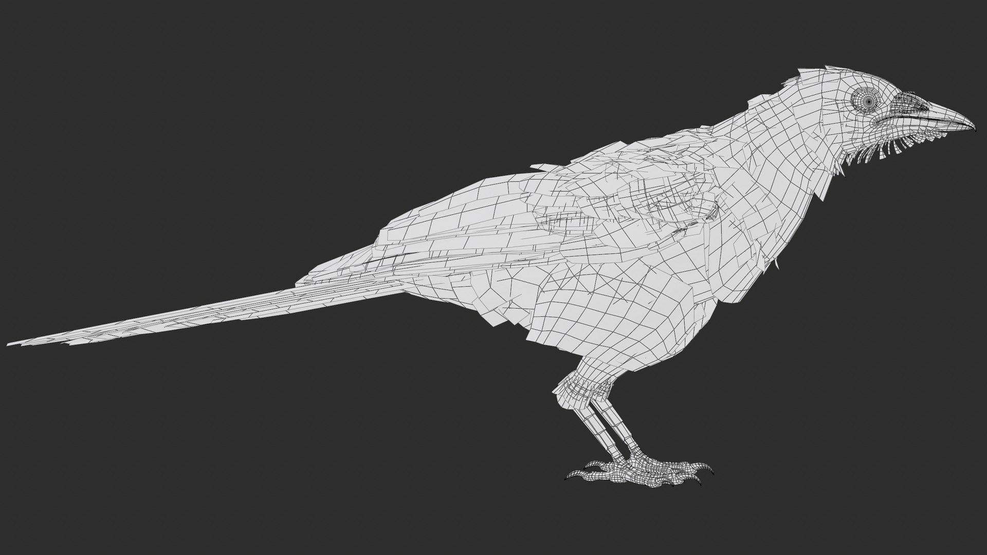 3D model Eurasian Magpie Posed 8K PBR https://p.turbosquid.com/ts-thumb/Oa/UdjSMl/rf/screenshot034/png/1762622836/1920x1080/fit_q87/15e7d843a149410f697dced004d78a589dfefaa7/screenshot034.jpg